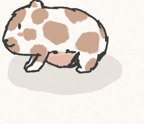 hamster