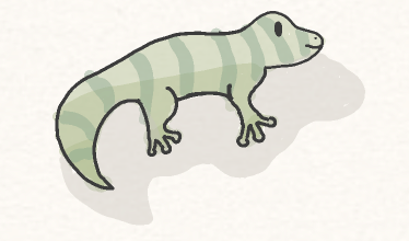Lizard