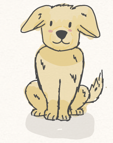 golden retriever pup