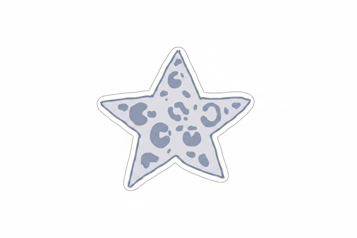 Leopard Star Magnet - Product Shot